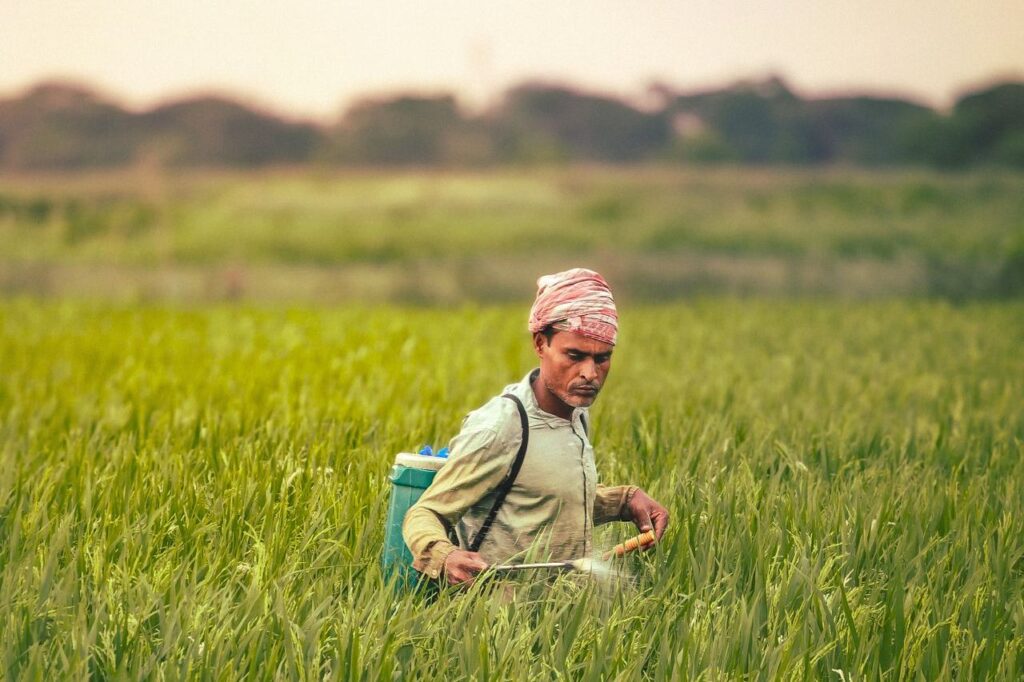 रासायनिक खेती का बढ़ता दबाव और जैविक विकल्पों की अनिवार्यता