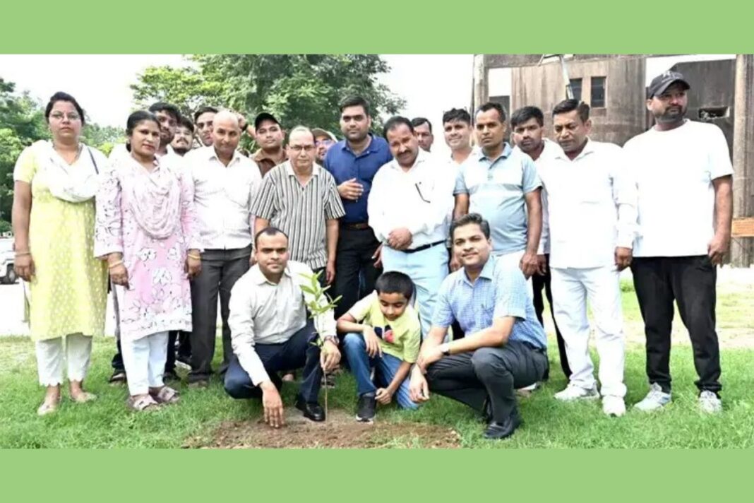 हरेला पर्व पर हरिद्वार में वृहद पौधरोपण अभियान, प्रशासन और पुलिस ने लिया पर्यावरण संरक्षण का संकल्प हरेला पर्व पर हरिद्वार में वृहद पौधरोपण अभियान