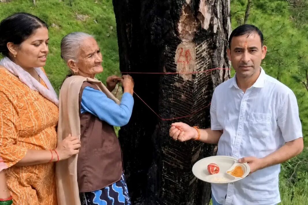 अदवाणी के जंगल में पेड़ कटान का विरोध, महिलाओं ने रक्षा सूत्र बांधकर बचाने का लिया संकल्प अदवाणी के जंगल में पेड़ कटान का विरोध, महिलाओं ने बांधा रक्षा सूत्र