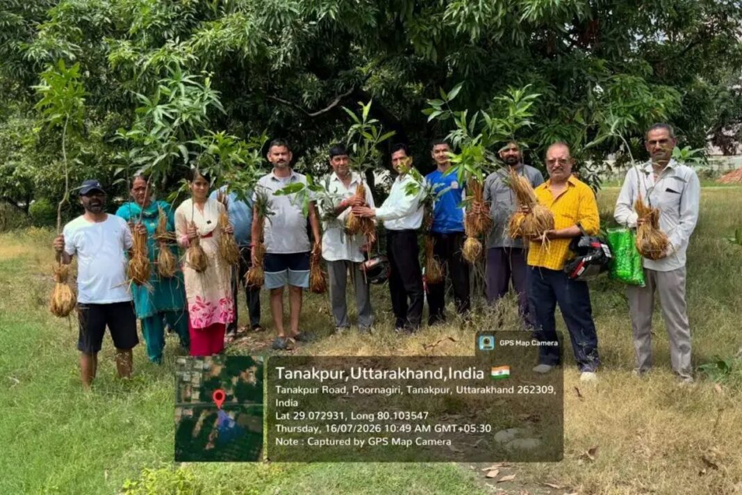 चम्पावत में 56 हजार से अधिक फलदार पौधों का रोपण, 4,500 किसान लाभान्वित चम्पावत में 56,754 फलदार पौधों का रोपण, 4,500 किसान लाभान्वित