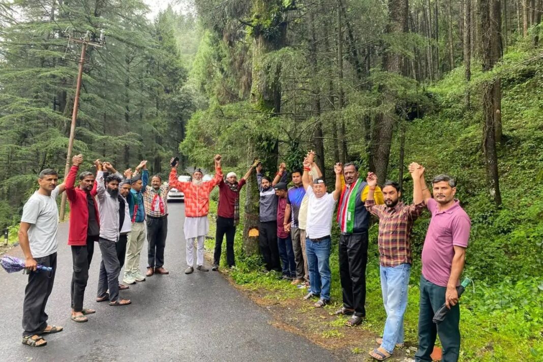 नागदेव–सर्किट हाउस मार्ग पर पेड़ कटान का विरोध तेज, जांच पूरी होने तक रोक की मांग नागदेव-सर्किट हाउस मार्ग पर पेड़ कटान का विरोध, जांच की मांग