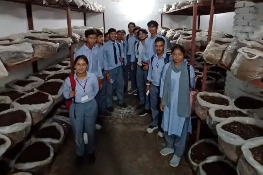 पैठाणी महाविद्यालय के छात्रों ने औद्योगिक इकाइयों का किया भ्रमण, उद्यमिता और स्वरोजगार की समझी बारीकियां पैठाणी महाविद्यालय के छात्रों ने समझी उद्यमिता और स्वरोजगार की बारीकियां