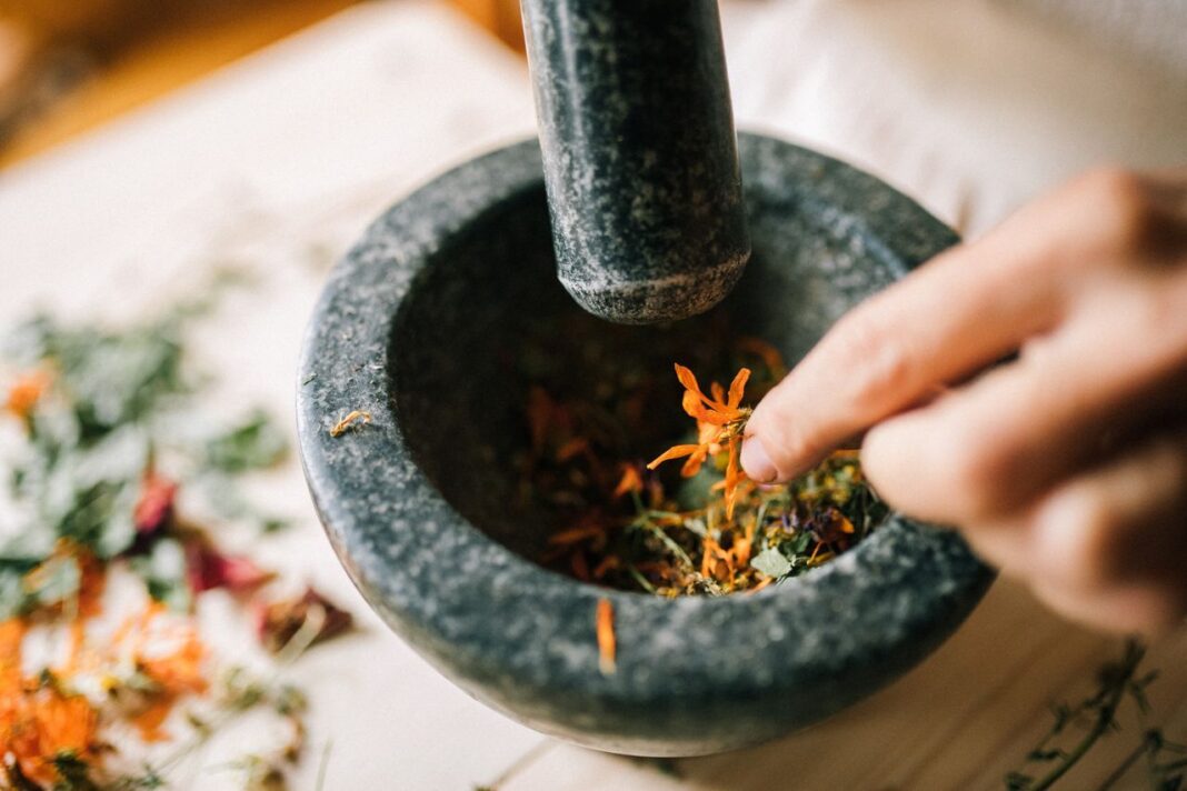 भारतीय चिकित्सा व्यवस्था: आयुर्वेद से आधुनिक विज्ञान तक स्वस्थ भारत की यात्रा