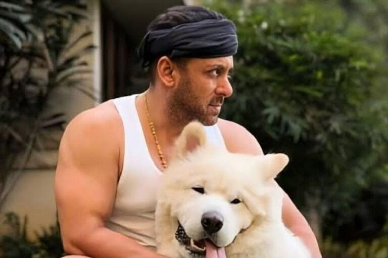 सलमान खान बीइंग ह्यूमन मामले में चंडीगढ़ कोर्ट का नोटिस, 5 अक्टूबर को पेशी