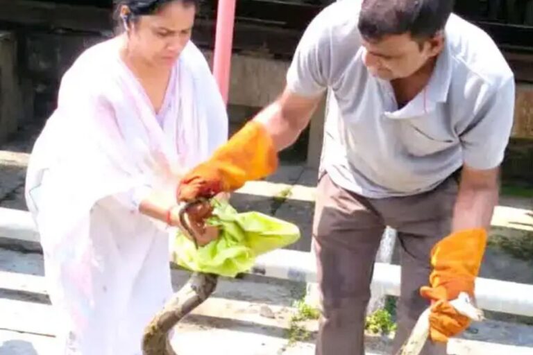 हरिद्वार रेलवे स्टेशन पर वंदे भारत एक्सप्रेस के पास दिखा 10 फीट लंबा अजगर