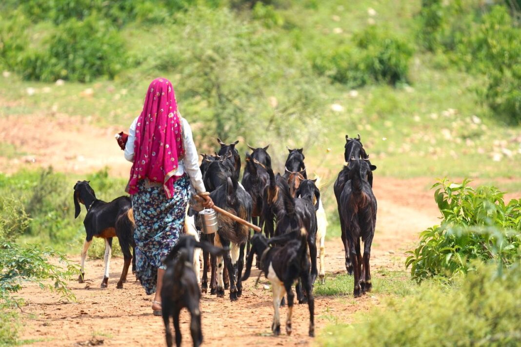 गांव का कठिन जीवन: चार किलोमीटर की दूरी कैसे बढ़ा देती है खर्च, समय और मेहनत गांव का कठिन जीवन: सुविधाओं की कमी से बढ़ता खर्च, समय और मेहनत