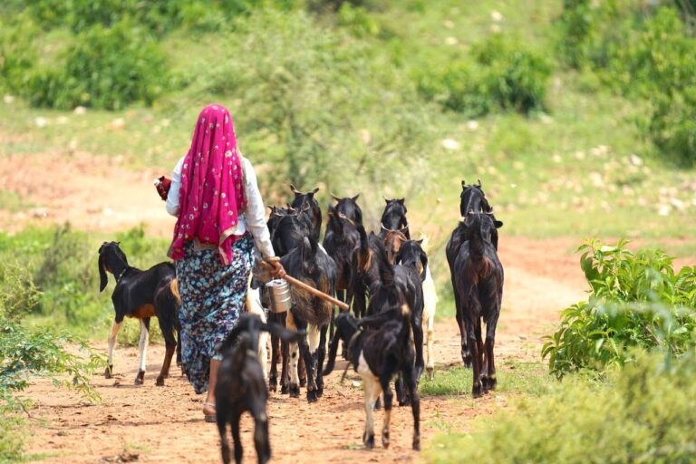 गांव का कठिन जीवन: सुविधाओं की कमी से बढ़ता खर्च, समय और मेहनत